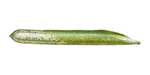 Original Hook Up Baits Replacement Tube Bodies